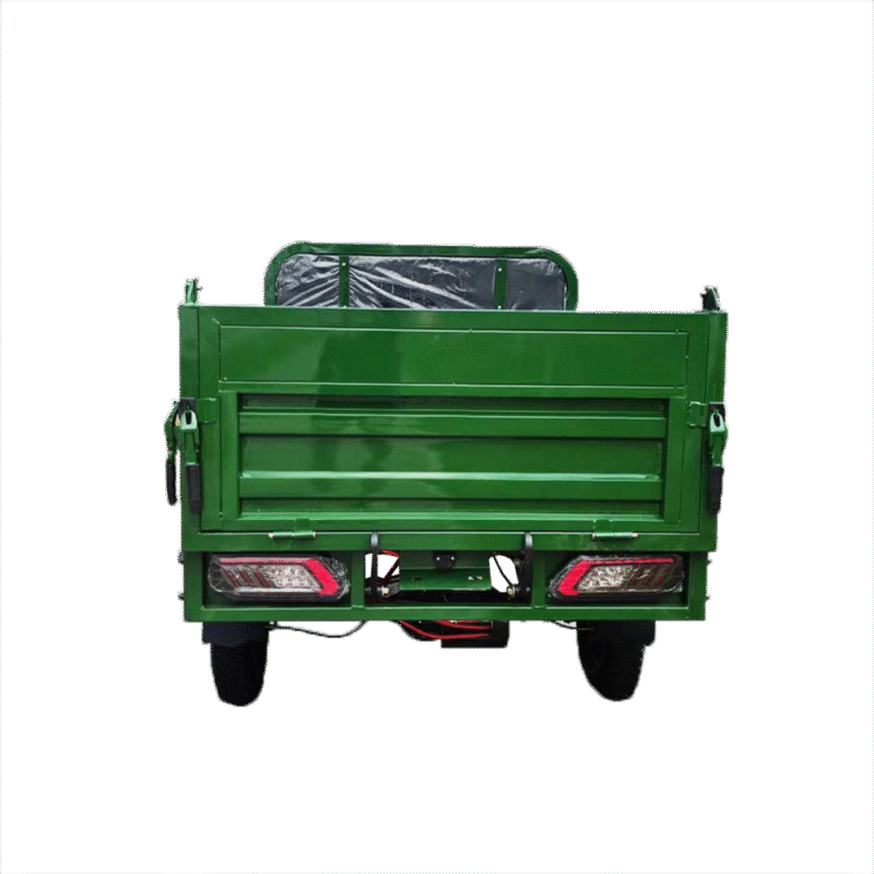 Triciclu electric Cargo 700 NC09 - 45 km/h Verde
