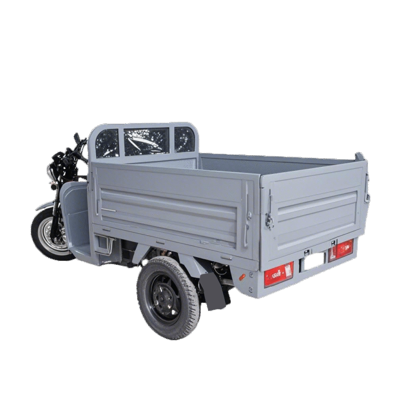 Triciclu electric Cargo 700 NC09 - 25 km/h Gri